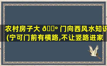 农村房子大 🌺 门向西风水知识(宁可门前有横路,不让竖路进家门)